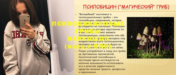 меф Алексин