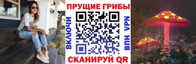 Псилоцибиновые грибы Cubensis где можно купить наркотик Приморск